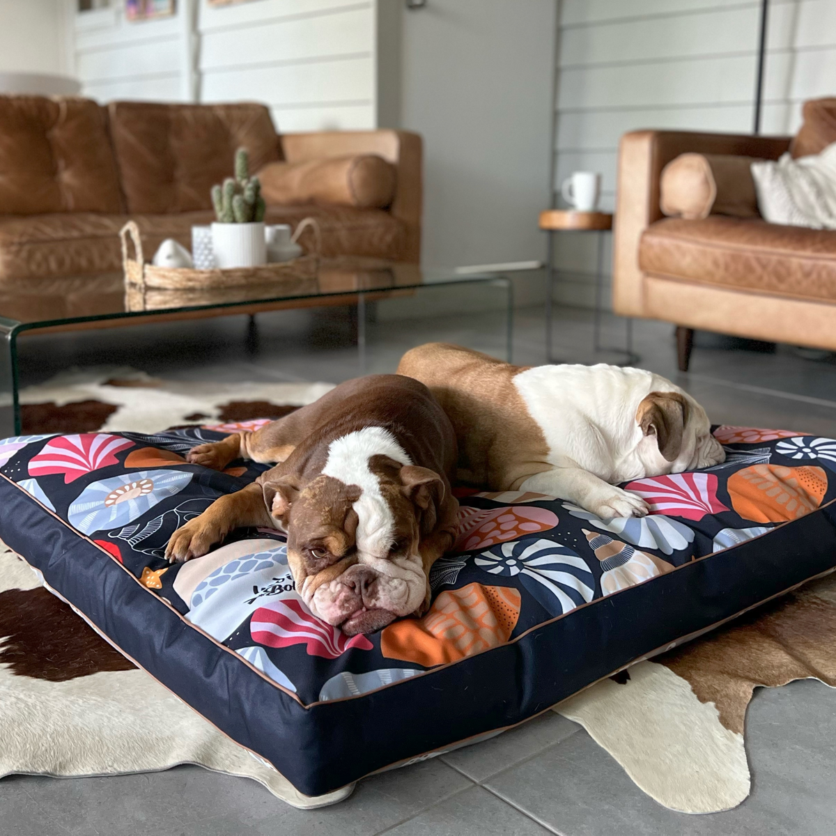 XXLARGE WaterResistant DOG BEDS with insert Indie Boho