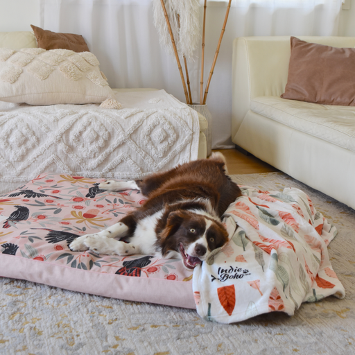 Sunset Cockatoo XXL Bed