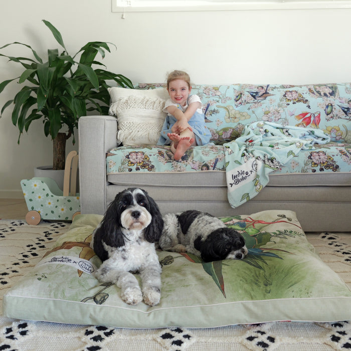 Two cute black and white cavoodles lying on a huge XXL May Gibbs dog and pet bed with a happy child sitting on a sky blue May Gibbs gumnut babies couch cover