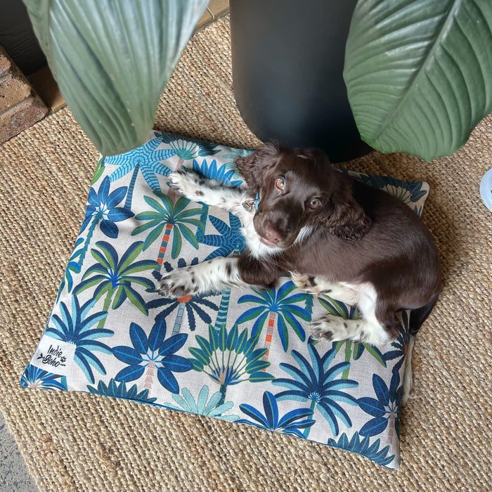 cute puppy on best puppy beds washable