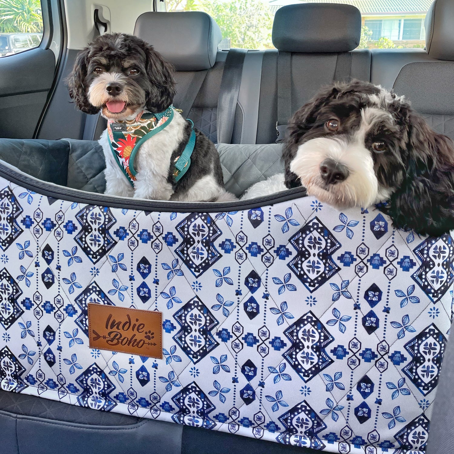 Single & Double Car Booster Seats