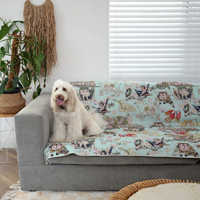 cute white bordoodle sitting on a blue may gibbs couch cover couch throw with colourful gumnut babies design