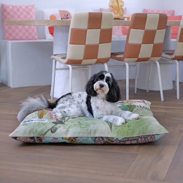 Cute black and white cavoodle sitting on an extra large linen blend May Gibbs gumnut babies dog bed and pet bed cover