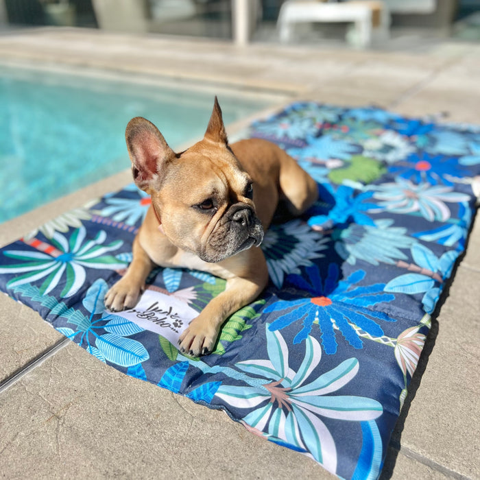 Compact waterproof travel mat for dogs