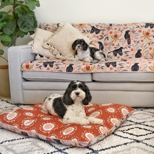 Sunset Cockatoo Pink Couch Cover Australia