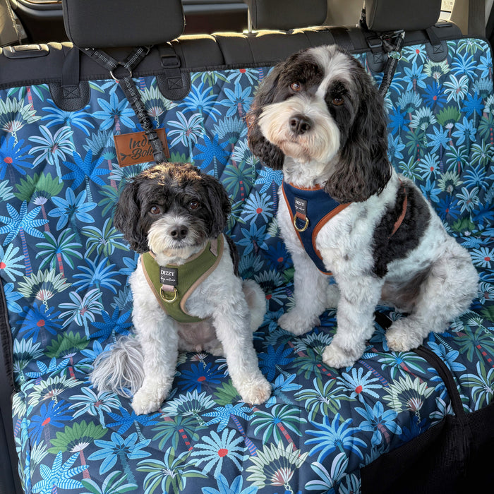 Cavoodles with best dog headrest seat belts travelling in car with waterproof, quality, padded dog hammock 2-in-1 system car seat cover, Sunshine Coast