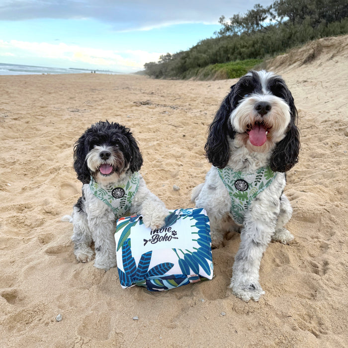 Travel and training mat for dogs and puppies