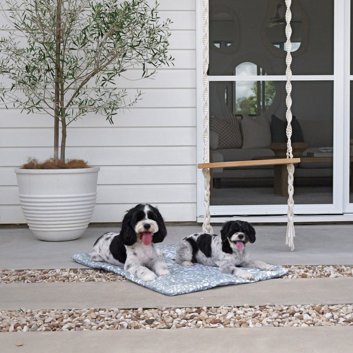 Puppy place training at home