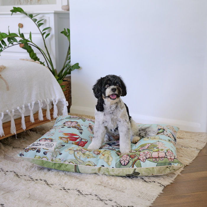 happy cute cavoodle sitting on a may gibbs pet bed and gumnut babies design linen bed comfortable pillow dog bed in a modern bedroom