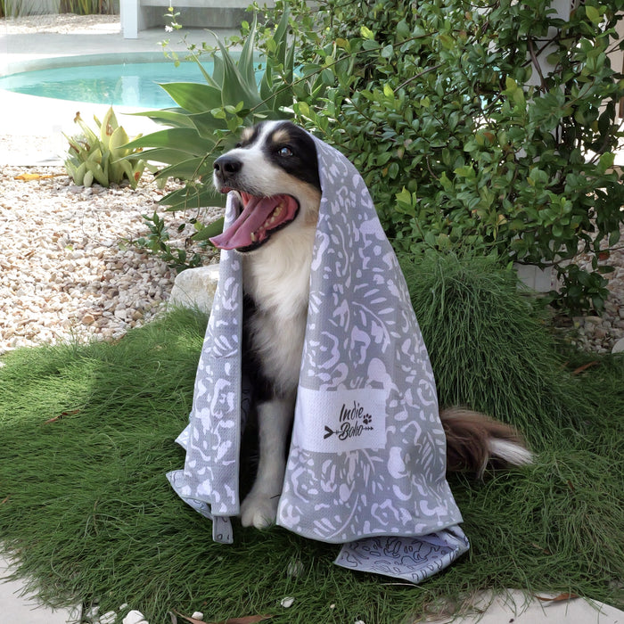Cute border collie with beach and bath towel in grey brushstrokes