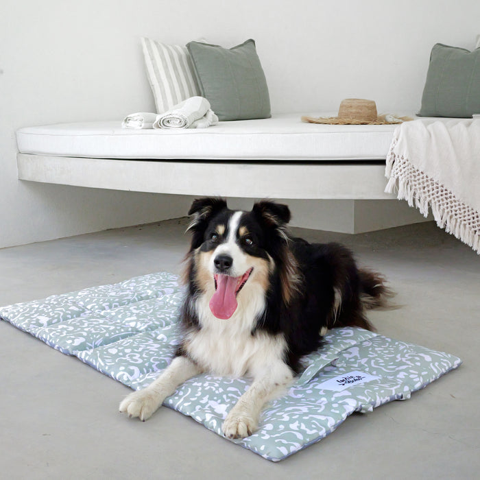 Border collie on pet travel mat large for training