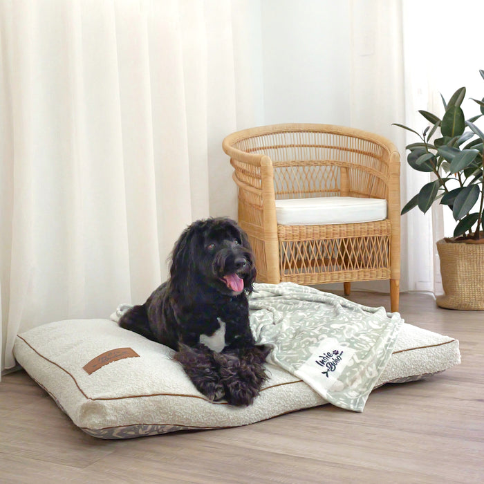 Beds and bed covers for small and large dogs Australia