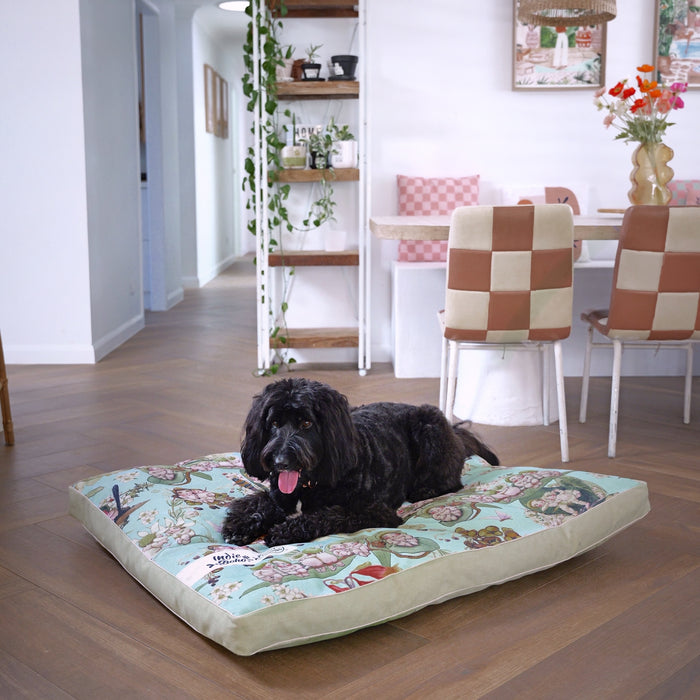 Happy bordoodle lying on a huge extra extra large pet dog bed and washable bed cover showing May Gibb's gumnut babies design