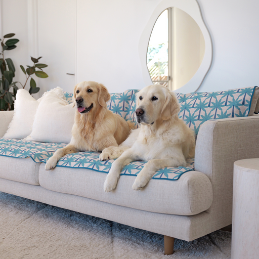 Best dog couch covers Australia
