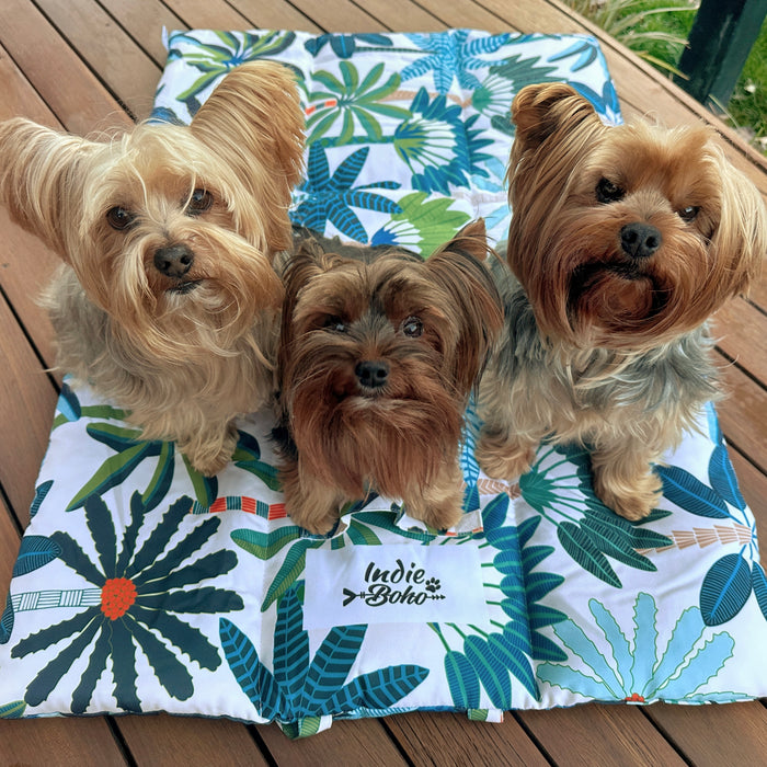 Indie Boho Travel essentials for dogs