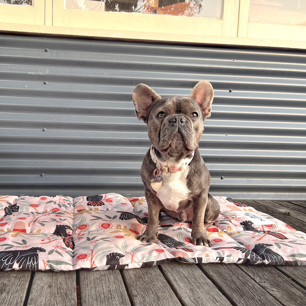 Place Training Mat for Dogs Australia