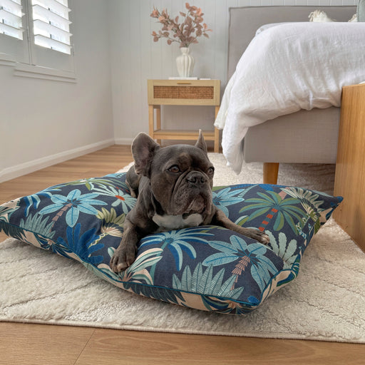frenchie on an Australian eco friendly dog bed