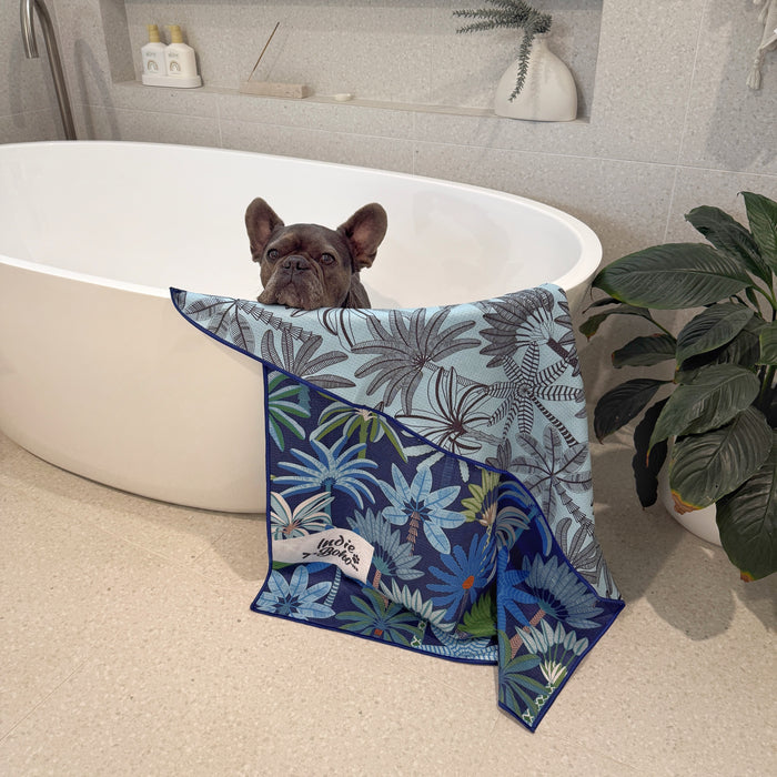 Frenchie in bath tub with best dog bath accessory the quick-dry towels