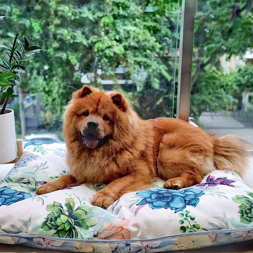 Extra large washable dog bed