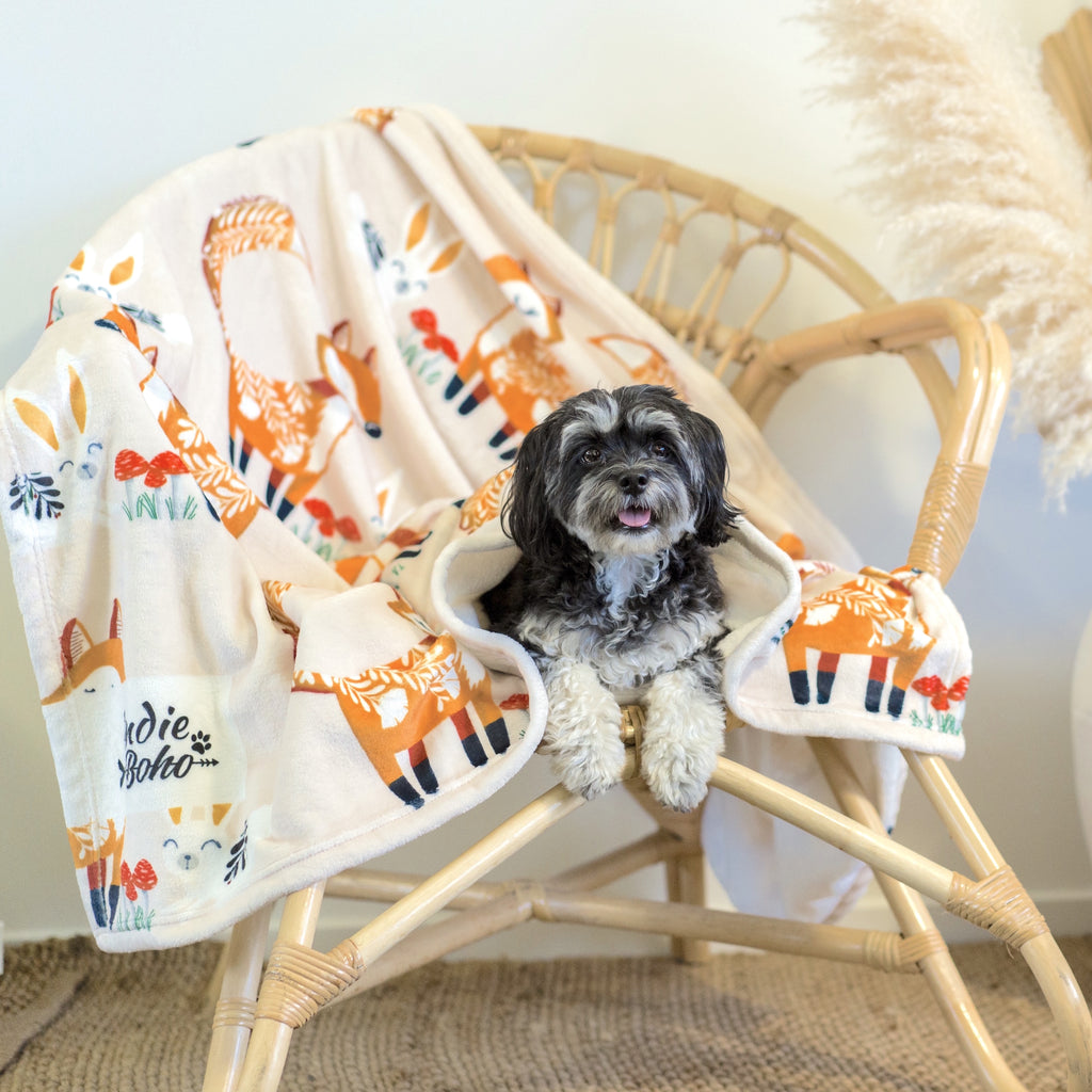 Foxy Tales - Designer Pet Blanket