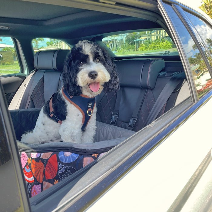 Double car bed for two dogs