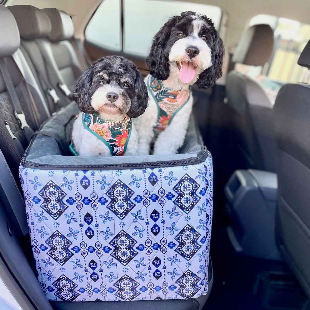 Car Pet Booster Seats DOUBLE Size - Noosa Nights