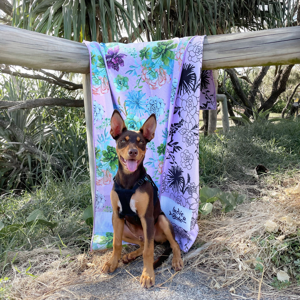 Floral purple dog accessory towel
