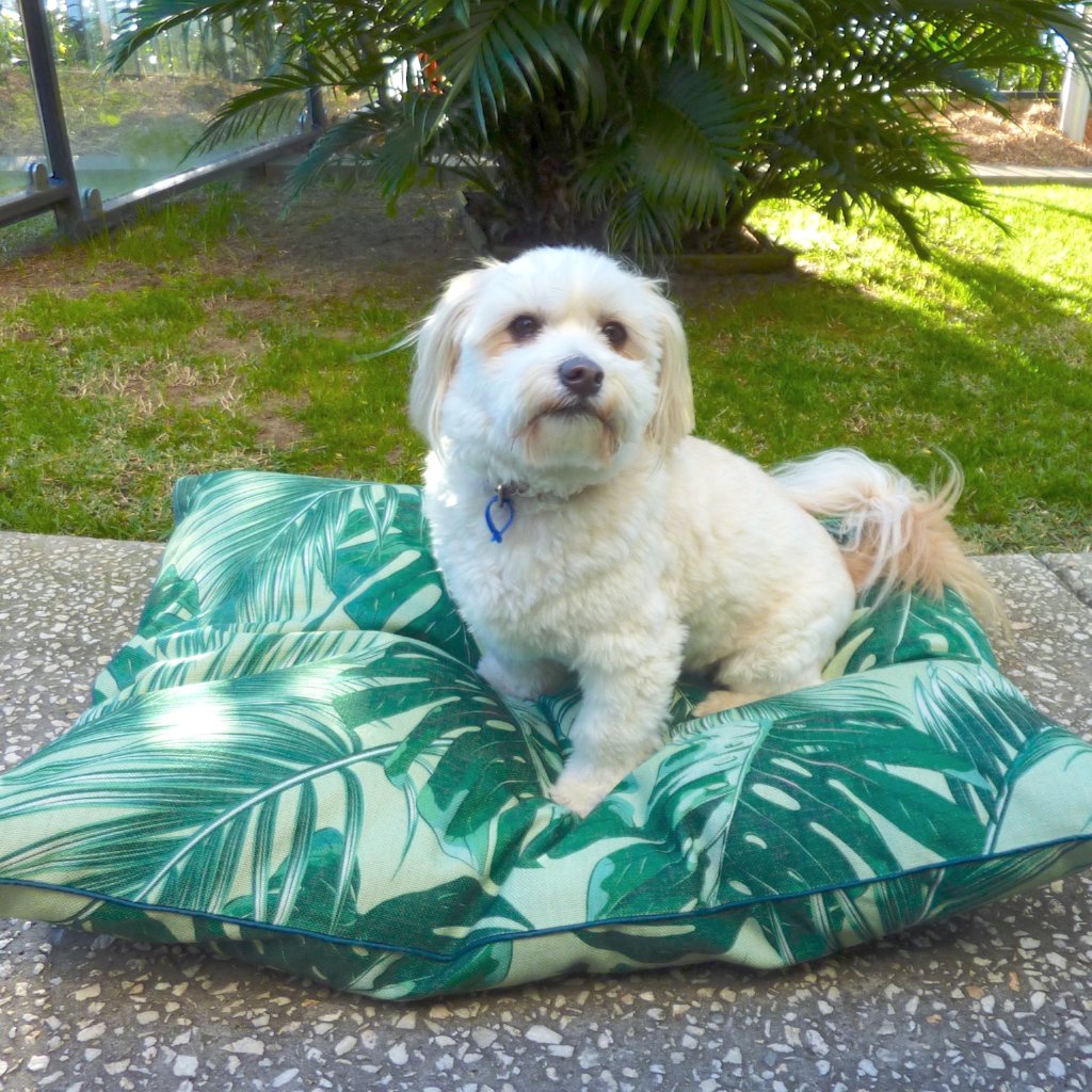Large Pet Cushion Bed Tropical Design