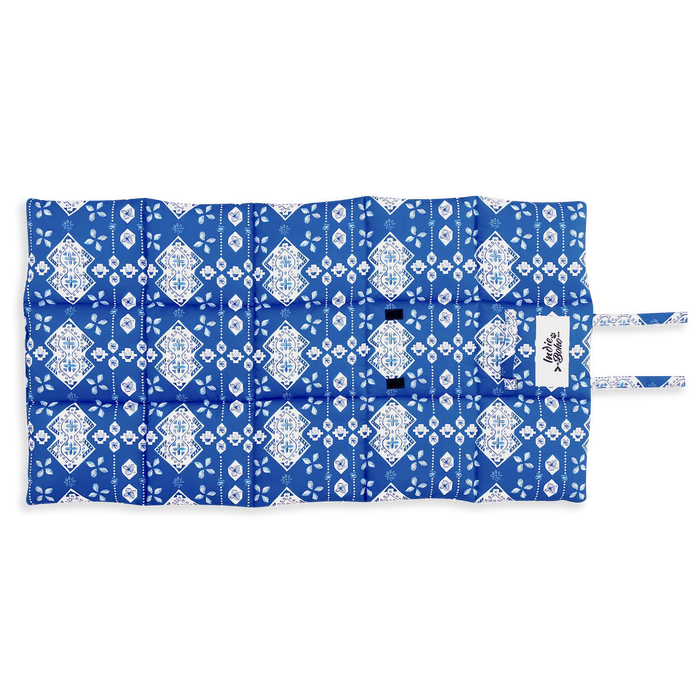 Best Australian dog travel accessories