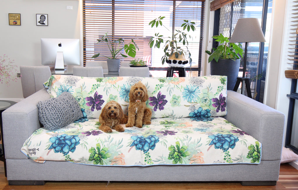 Succulent medley couch throw cavoodles