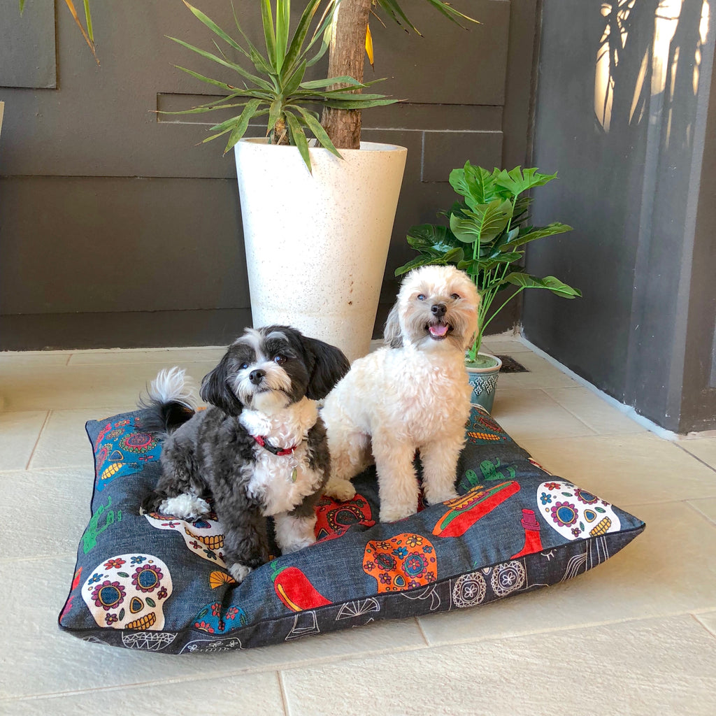 Puppies love this designer bed