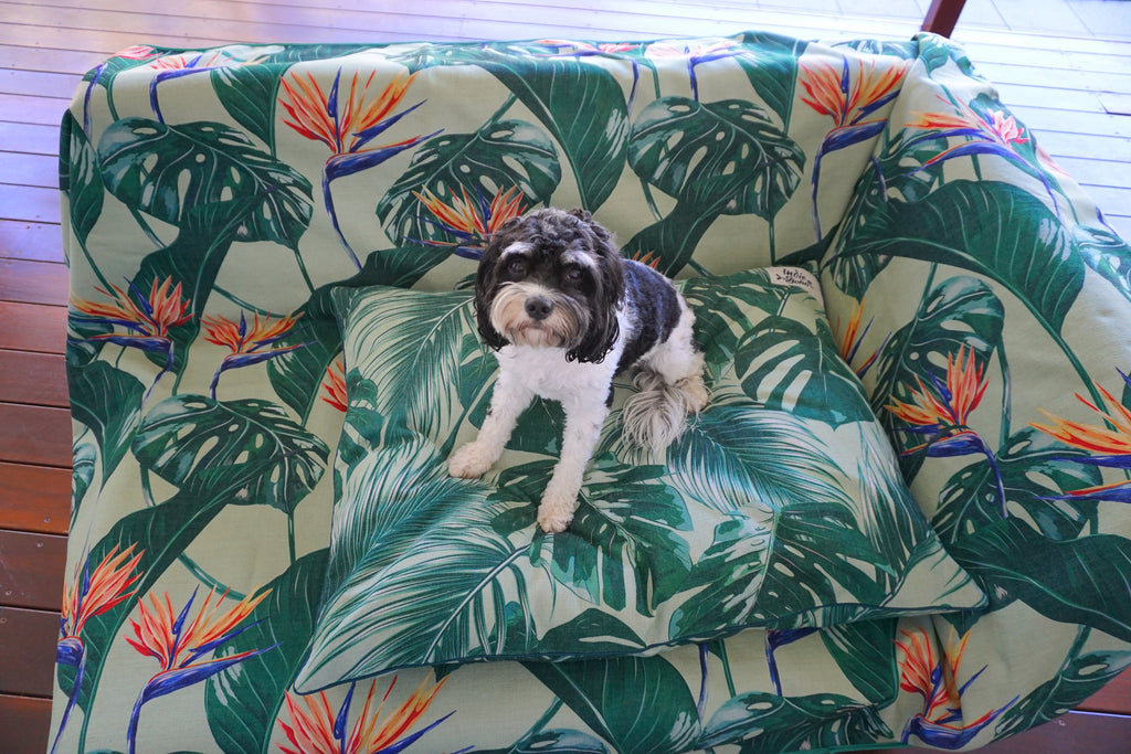 Tropical Bloom - Couch Throw