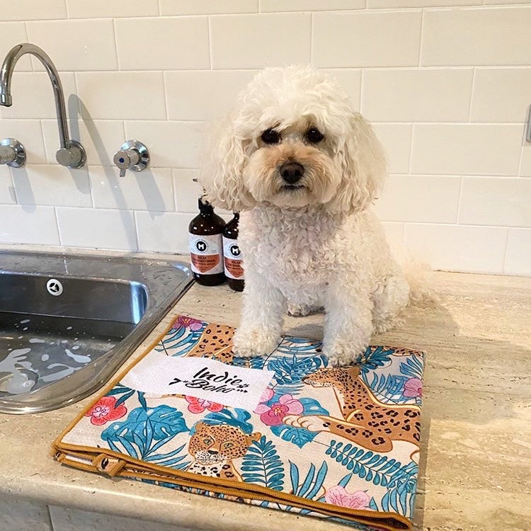 Dog Bath Towel leopard Luxe