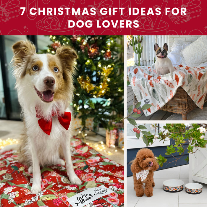 7 Christmas Gift ideas guide for dogs and dog lovers