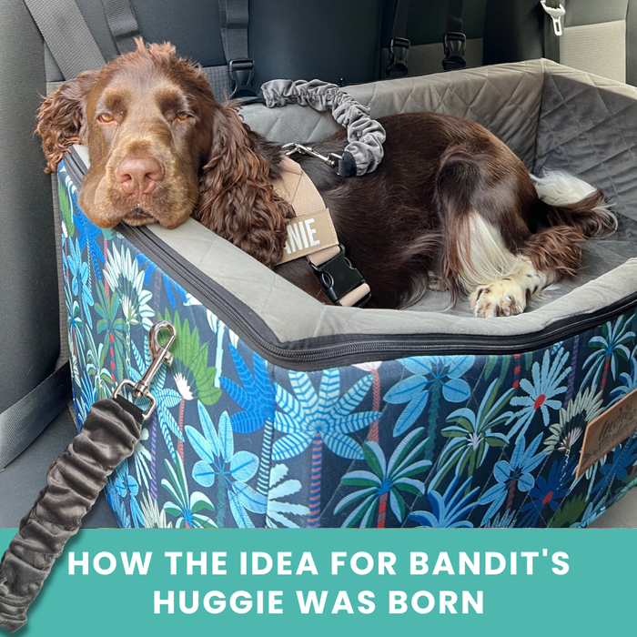 How the Idea for Bandit's Huggie was Born