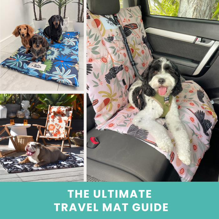 Dog travel mat and dog training mat guide in Australia