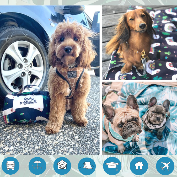Dog travel mats in Australia