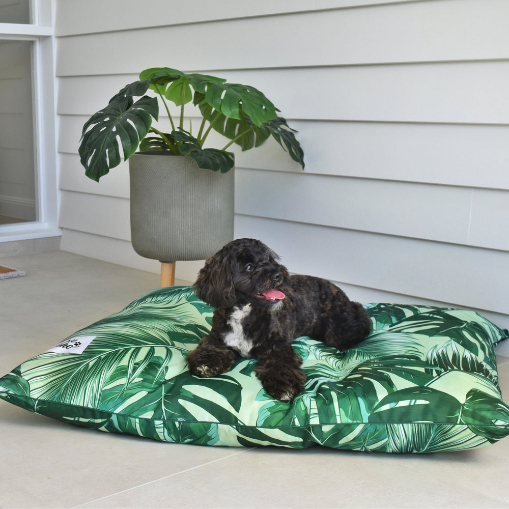 LARGE Water-Resistant DOG BEDS with insert