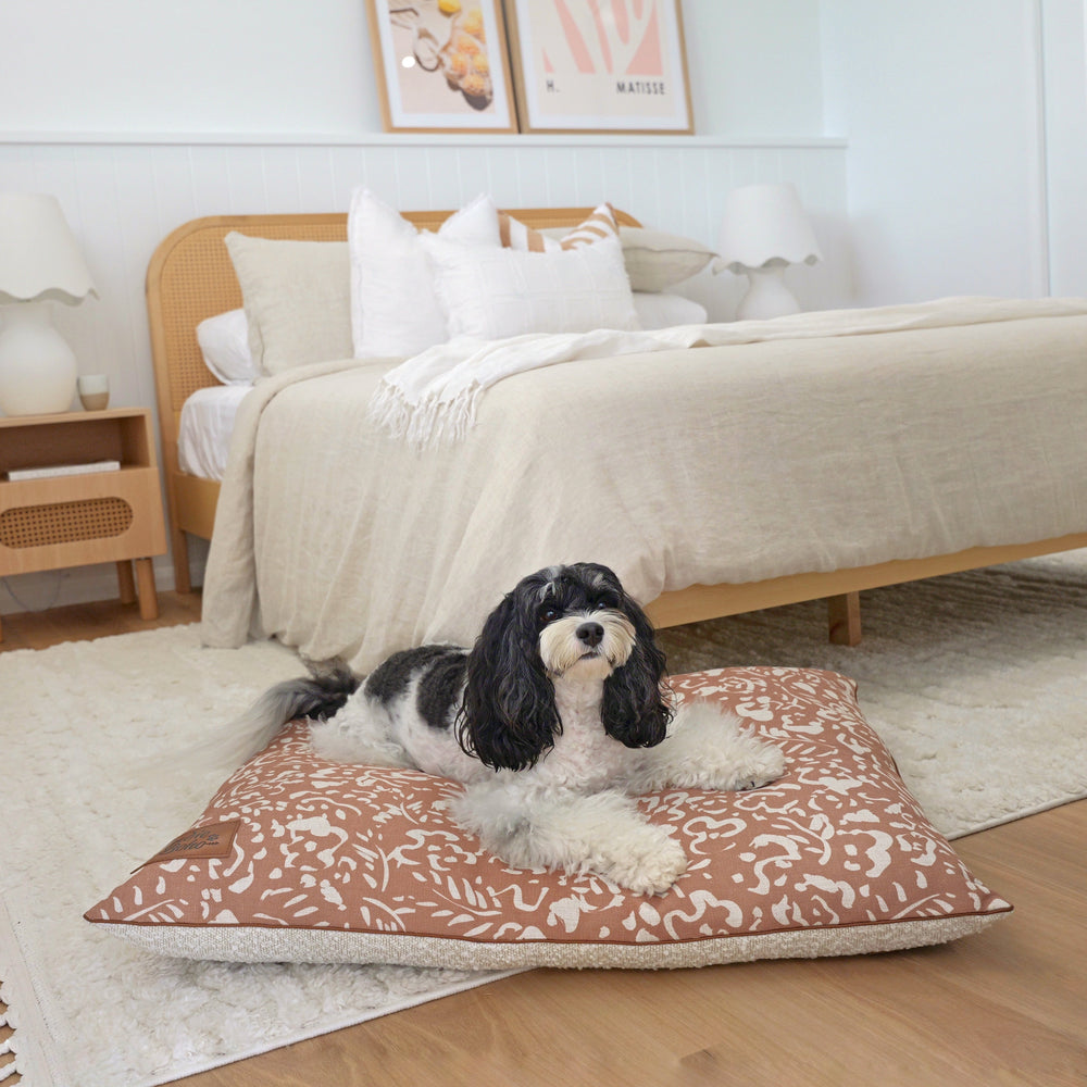 best luxury boucle dog and cat bed Australia