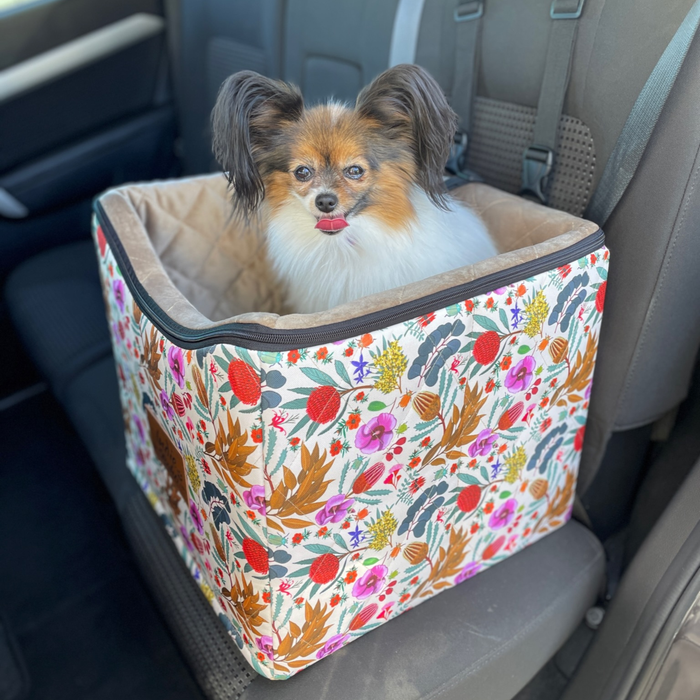 Best safety car booster seat Australia, pet carrier, pet travel safety 
