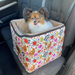 Best safety car booster seat Australia, pet carrier, pet travel safety 