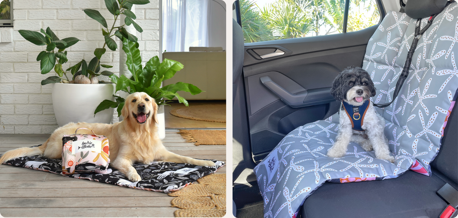 Travel & Training Mats