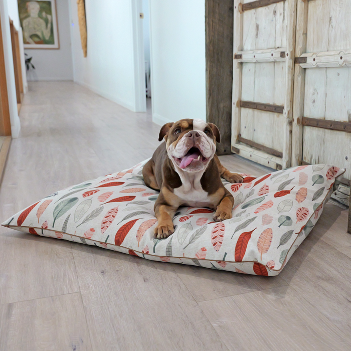 Cute dog bed aesthetic, Feather Australian designed dog bed