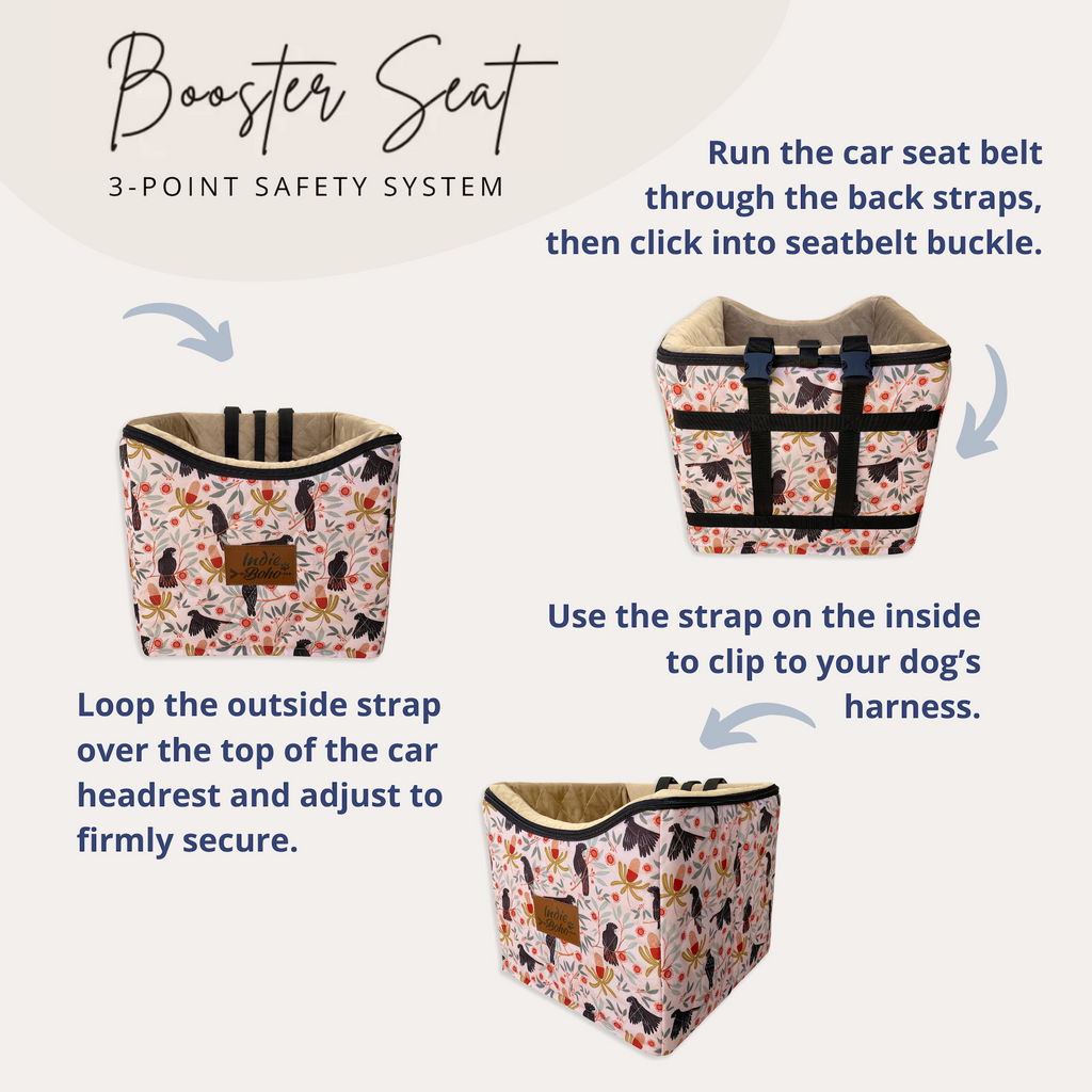 Car Booster Seat 3 Point Safety System