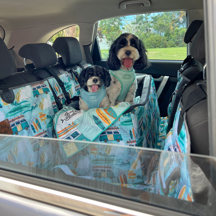 Car booster seat for dogs Australia, safety seat, car carrier, dog travel bed, cure car sickness in dogs, how to stop dog from being anxious when travelling