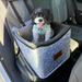 Car booster seat for dogs Australia, safety seat, car carrier, dog travel bed, ways to help anxious dog in car