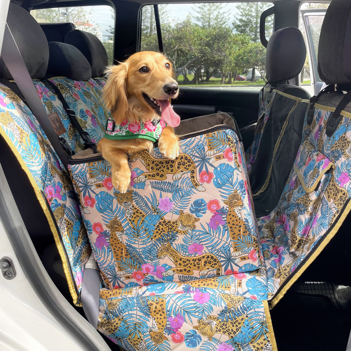 Car seat for dogs Australia, best travel seat for dogs, booster seat, dog travel safety Australia, sausage dog, help anxious dogs in the car