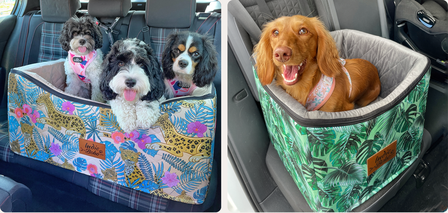 Car Booster Seats