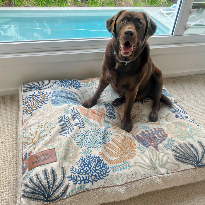 Coral Cove Bouclé – XXL Dog Bed