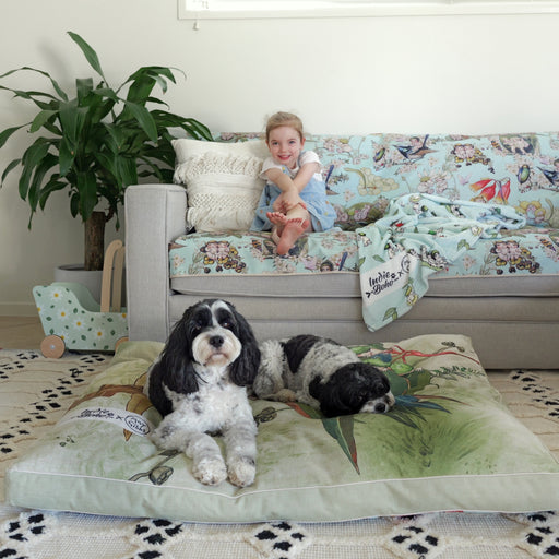 Two cute black and white cavoodles lying on a huge XXL May Gibbs dog and pet bed with a happy child sitting on a sky blue May Gibbs gumnut babies couch cover